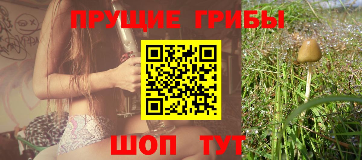 Псилоцибиновые грибы MAGIC MUSHROOMS Белореченск